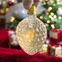 ACK AB55-00420 4W 220-240V E27 2200K G95 Led Rustik Ampul - 4