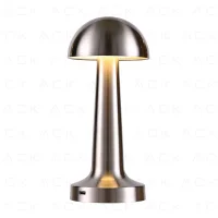 ACK AF11-00293 2W Satin Gövde Ledli Dokunmatik Dimli Masa Lambası - 1