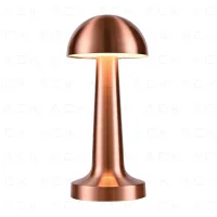 ACK AF11-00297 2W Copper Gövde Ledli Dokunmatik Dimli Masa Lambası - 1