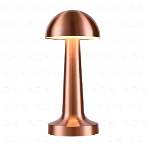 ACK AF11-00297 2W Copper Gövde Ledli Dokunmatik Dimli Masa Lambası - 1