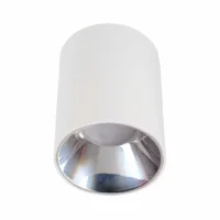 ACK AH03-08650 Sivaüstü Dekoratif Armatür Krom Reflektör Beyaz Metal Kasa - 1