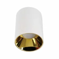 ACK AH03-08660 Sivaüstü Dekoratif Armatür Altin Reflektör Beyaz Metal Kasa - 1