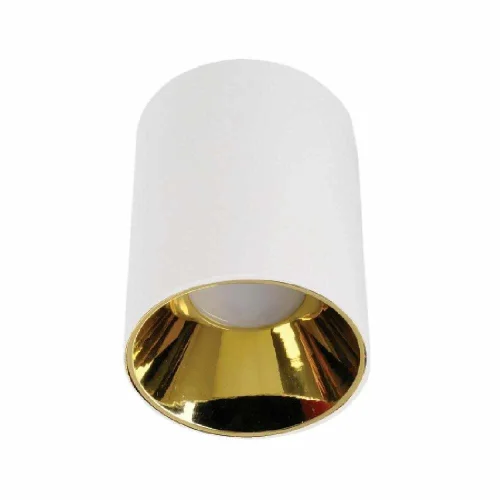 ACK AH03-08660 Sivaüstü Dekoratif Armatür Altin Reflektör Beyaz Metal Kasa - 1