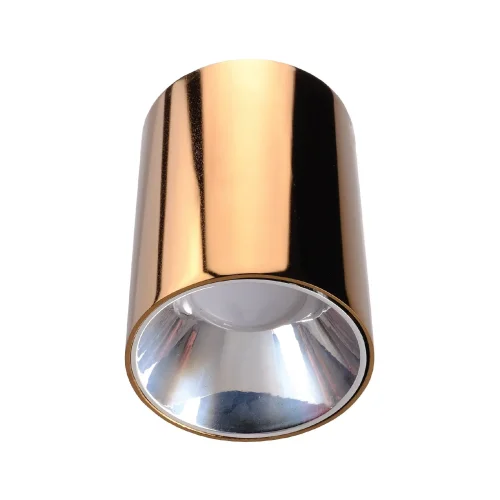 ACK AH12-08567 Sıvaüstü Dekoratif Armatür Ø80mmx110mm Parlak Altın Reflektör Bakır Kasa - 1