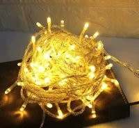 ACK AS90-01000 10mt 100Led 3000K 220V Lüks Seri Eklenebilir Led Yesil Kablo - 1