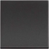 Bticino RG4005M2 Classia 10A 2M Siyah Işıklı Liht Butonu - 1