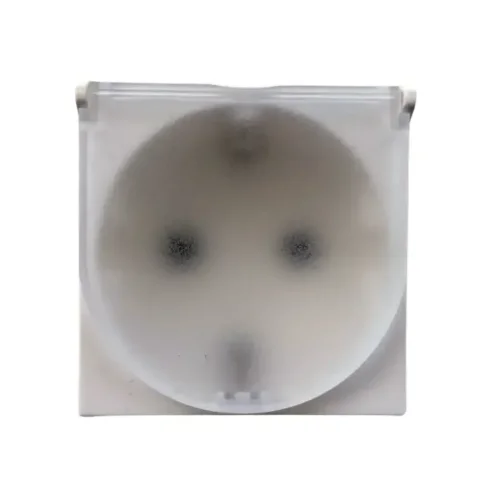 Bticino RW4141C Classia 16A 2M Beyaz Topraklı Priz Kapaklı - 1