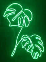 Cata CT-4455 Yeşil 12V Neon Led Hortum - 2