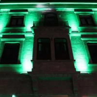 Cata CT-4695 12W Yeşil Işık Gold Wallwasher 30CM - 2