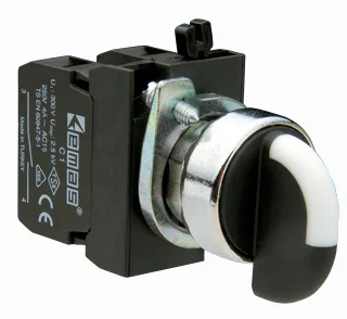 Emas CM102S30 Metal 1NO+1NC (II-0-I) 60° Seçici Kalıcı 22 mm Buton - 1