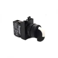 Emas CP101AA30 Plastik 2NO (II-0-I) 60° Anahtarlı Kalıcı 0 Pozisyonunda Anahtarı Çıkan 22 mm Buton - 1