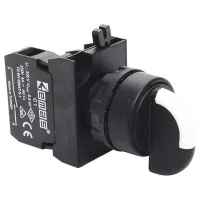 Emas CP1M0S20 Plastik LED'li 1NO 100-230V AC (0-I) 60° Seçici Kalıcı 22 mm Buton - 1