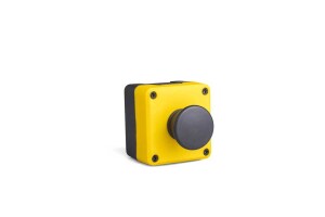 Emas P1EC300MH Plastik 1 Gözlü BDMH + C3BK (NO) Sarı-Siyah Kumanda Kutusu - 1
