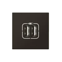 Legrand 079194L İkili Usb Şarj Prizi A Tipi 230V 5Vdc - 2.4A 12W 2M Siyah - 1