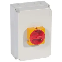 Legrand 22175 Reverso Kutulu Emniyet Şalteri 3P 50A - 1