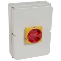 Legrand 22186 Reverso Kutulu Emniyet Şalteri 4P 63A - 1