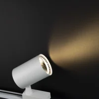 Noas YL29-3002 30W 3200K Gün Işığı Beyaz Kasa Paris Led Ray Spot 2700 Lümen - 2