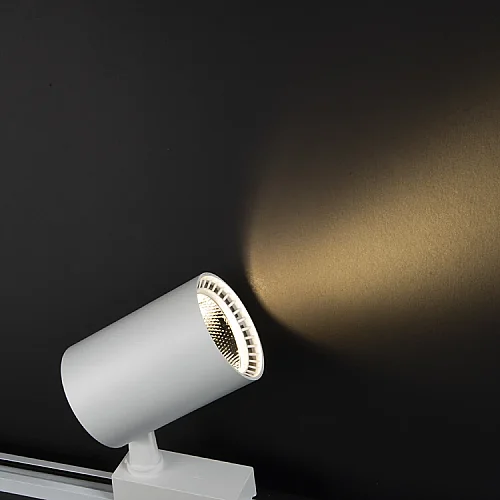 Noas YL29-3002 30W 3200K Gün Işığı Beyaz Kasa Paris Led Ray Spot 2700 Lümen - 2