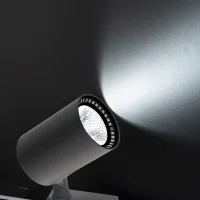 Noas YL29-3101 30W 6500K Beyaz Işık Siyah Kasa Paris Led Ray Spot 2700 Lümen - 2