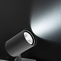 Noas YL29-3101 30W 6500K Beyaz Işık Siyah Kasa Paris Led Ray Spot 2700 Lümen - 2