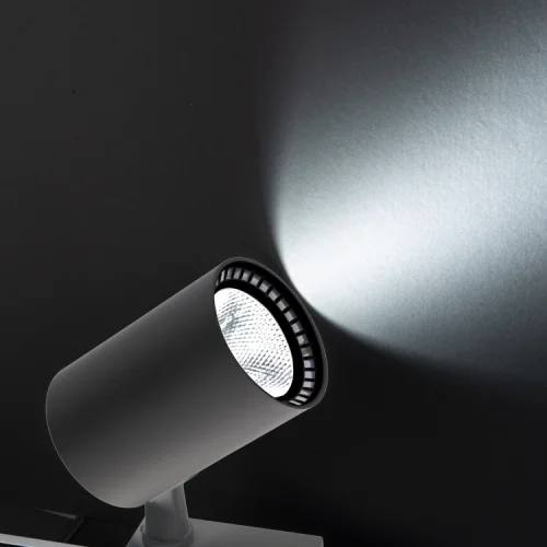 Noas YL29-3107 30W 4000K Gün Natural Beyaz Işık Siyah Kasa Paris Led Ray Spot 2700 Lümen - 2