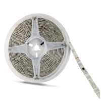 Noas YL50-5109 RGB Şerit Led 12V 5050 Dış Mekan 5 Metre - 2