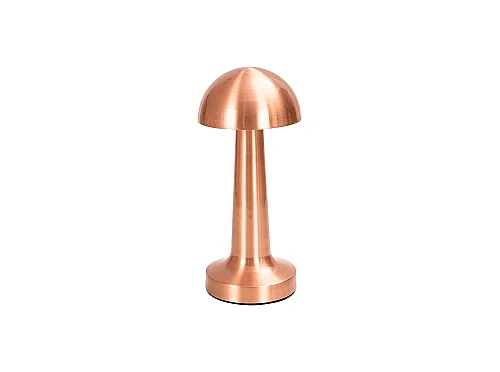 Noas YL86-1231 Atina Bronz Şarjlı Masa Lambası 3 Renk - 1