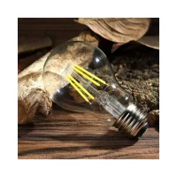 Noas YL92-4112 6W 3000K Amber Renk A60 Rustik Ampul Şeffaf Cam E27 Duylu 680 Lümen - 2