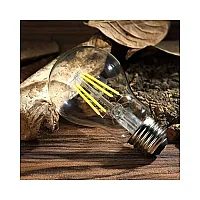 Noas YL92-4112 6W 3000K Amber Renk A60 Rustik Ampul Şeffaf Cam E27 Duylu 680 Lümen - 2