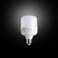 Noas YL95-2001 20W 6500K Beyaz Işık Led Torch Ampul E27 Duylu 1980 Yüksek Lümen - 2