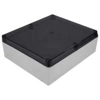 TP Electric 3310-305-0100D Şeffaf Kapak 360x300x110 Termoplastik Buat - 1