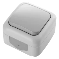 Viko 90555501 Palmiye Gri Anahtar - 1